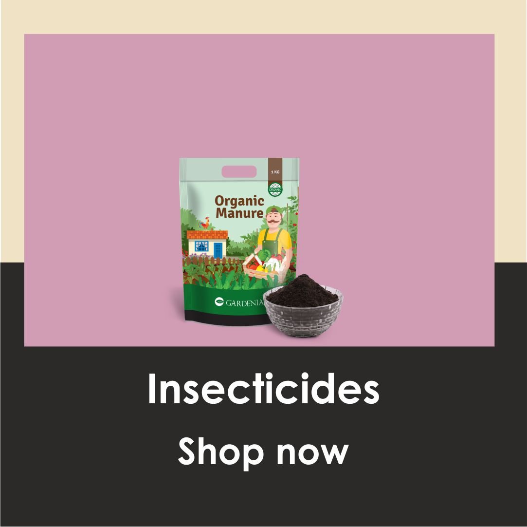 Insecticides