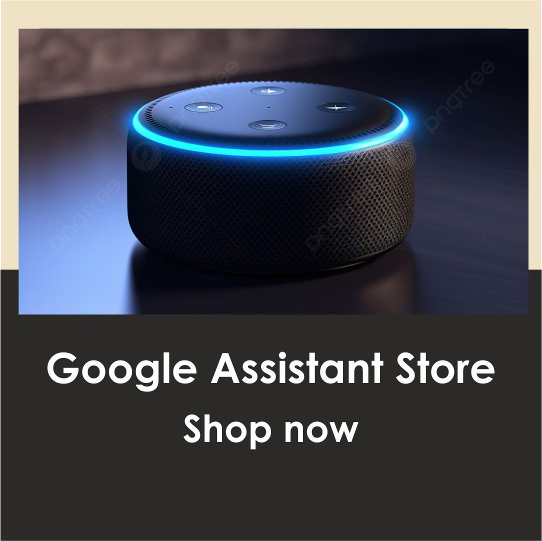 Google Assistant Store