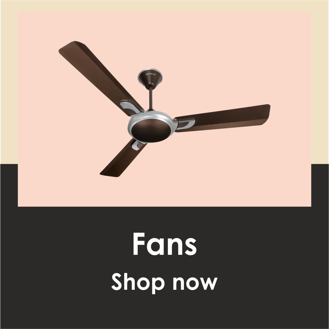 Fans